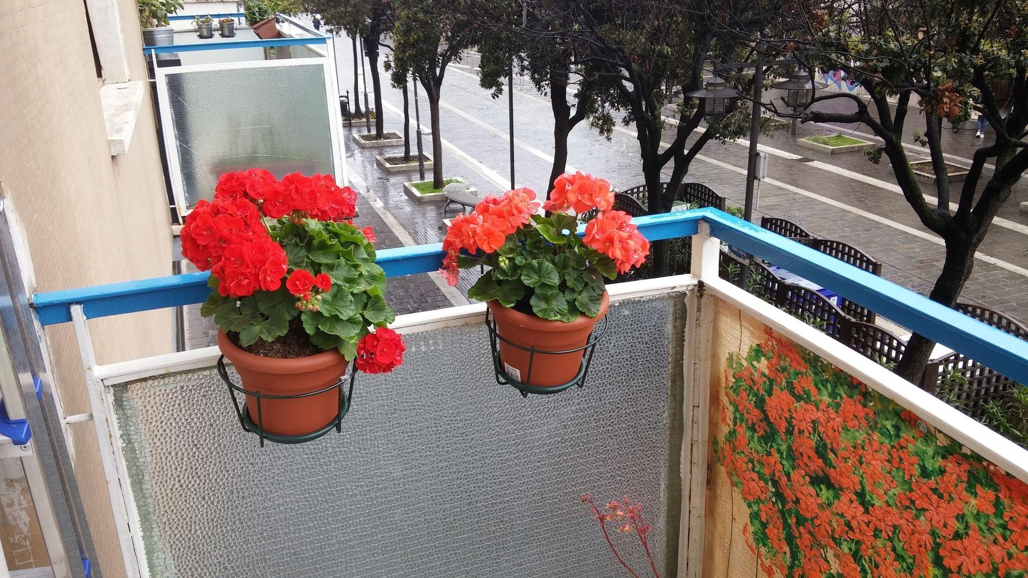 Elisir B & B Pescara Luaran gambar